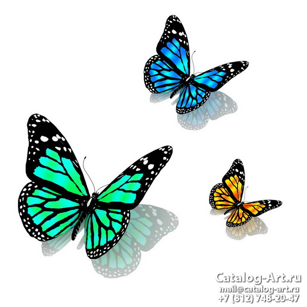  Butterflies 62